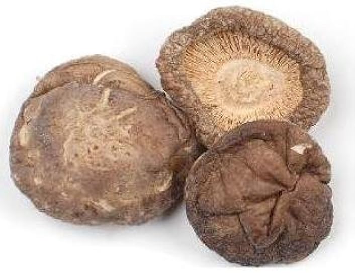 House Dried Shiitake Mushroom Premium Grade 710 Gram 954498904
