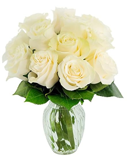KaBloom PRIME NEXT DAY DELIVERY - Bouquet of 12 Blanco 