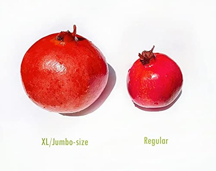 Kejora Fresh Jumbo Pomegranate Set of 3 - XL size 400060606