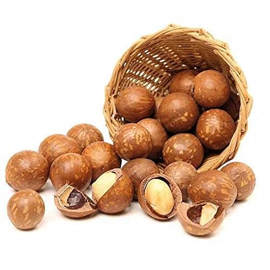 Raw Macadamia Nuts,Raw Natural Macadamia Nuts Unsalted,