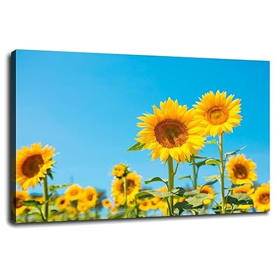 ADOVZ Semillas de girasol. Sunflower Field Wall Art Can