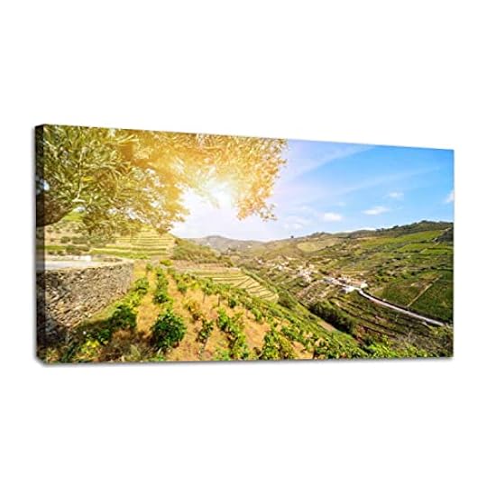 Large Canvas Wall Art Print Picture Vineyards Rojo wine grapes for Port wine production winery near Douro Stretched & Framed Painting Poster Artwork Wall Decor Living Room Ready to Hang 30´´x60´´ 631141868