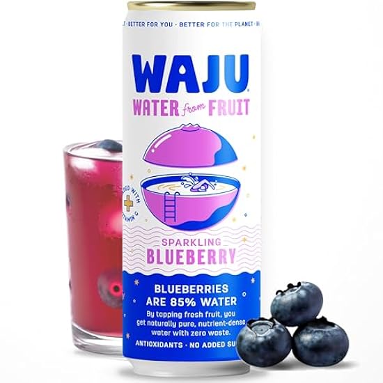 WAJU Organic Sparkling Blueberry Water, No Added Sugar,