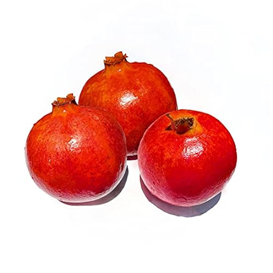 Kejora Fresh Jumbo Pomegranate Set of 3 - XL size 975432435