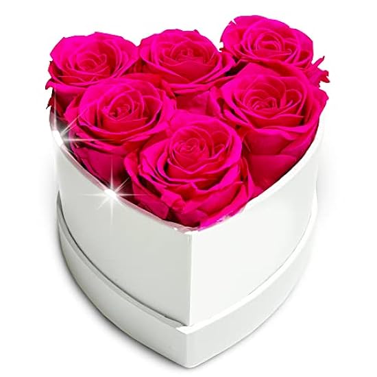 Ruler Follower Heart Shaped Infinite Rose Box - Genuine