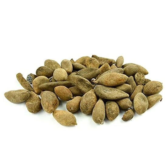Chinese gallnut medicine decoction 500g of galls in 939386914