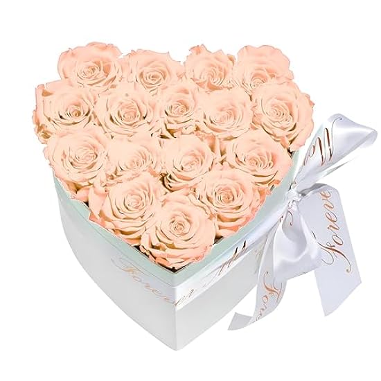 FORTTS Preserved Rose Box, 16-18 Pieces Real Roses Forever Flowers with Heart Shaped Box, Eternal Rose Last 3 to 5 Years for Mother´s Valentine´s Day Birthday Gift Party Decorations (Red Champagne) 729291571