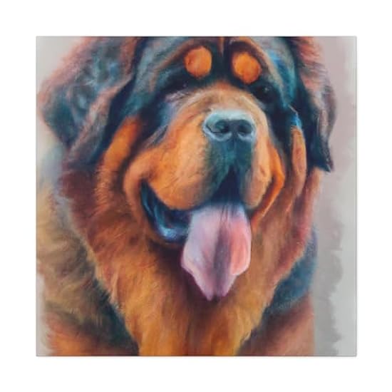 Tibetan Mastiff Splendor - Canvas 36″ x 36″ / Premium G