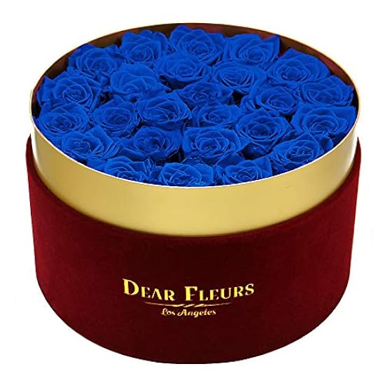 Velvet Roses (Azure Blue, Large Rojo Velvet Box) 869480