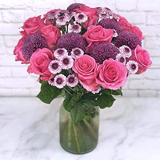 Falcon Farms Inc Blooming Love (Free VASE) 865021333