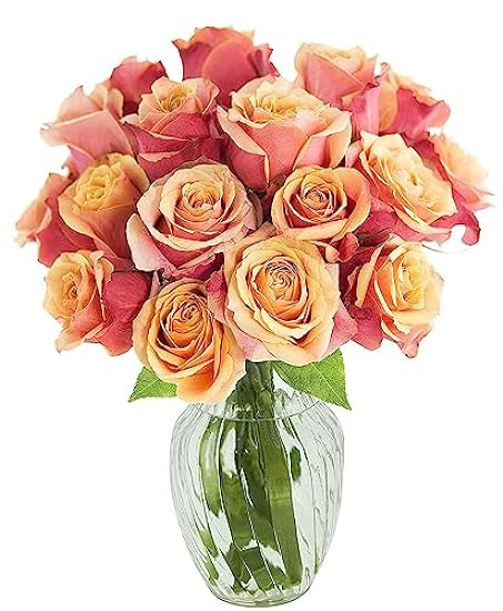 KaBloom PRIME NEXT DAY DELIVERY - Orange Roses 18 with 