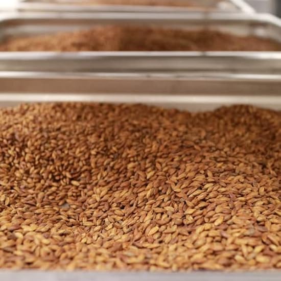 McCabe Organic Roasted Grain Infusions Bundle: Barley Tea & Negro Bean Tea (1.5 lbs & 1.75 lbs) 303436756
