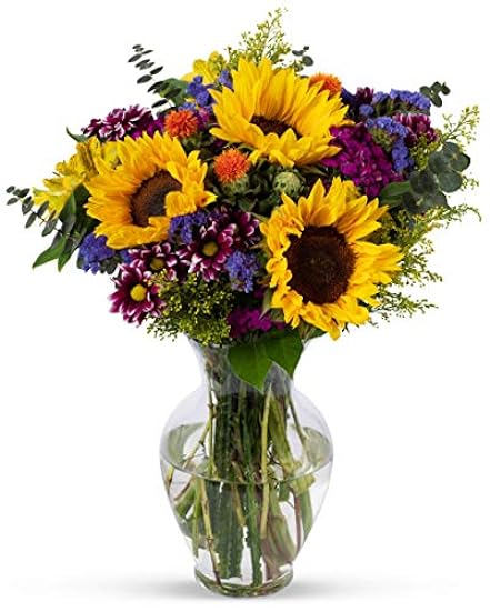 Benchmark Bouquets Flowering Fields, Next Day Prime Delivery, Flores frescas cortadas, Gift for Anniversary, Birthday, Congratulations, Get Well, Home Decor, Sympathy, Easter, Mother´s Day 941878996