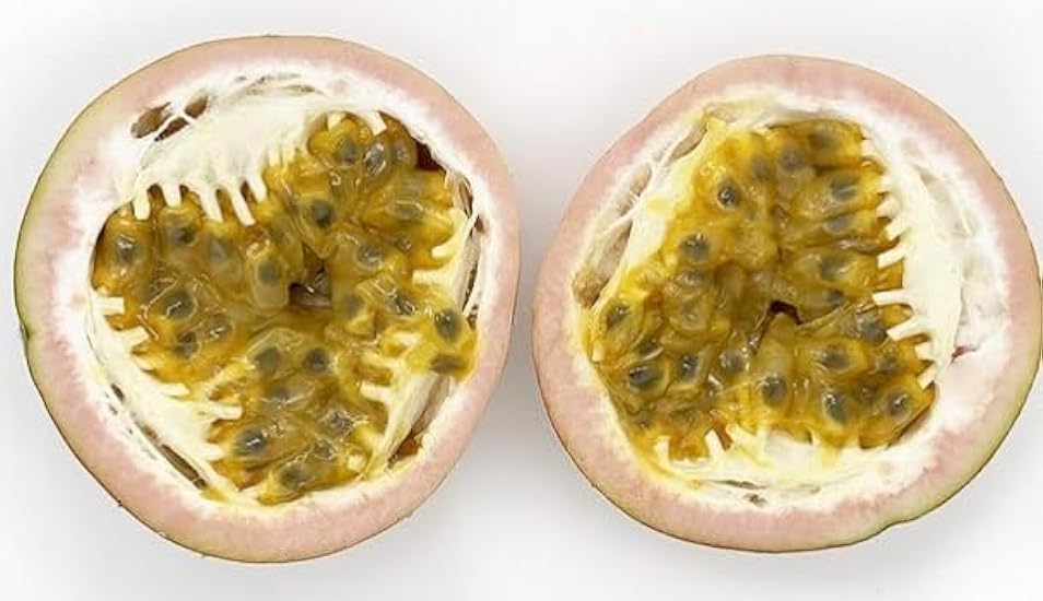 Kejora Fresh Morado Passion Fruit Grown in the USA - 12 Count (Pack of 1) - Pick Fresh 154916449
