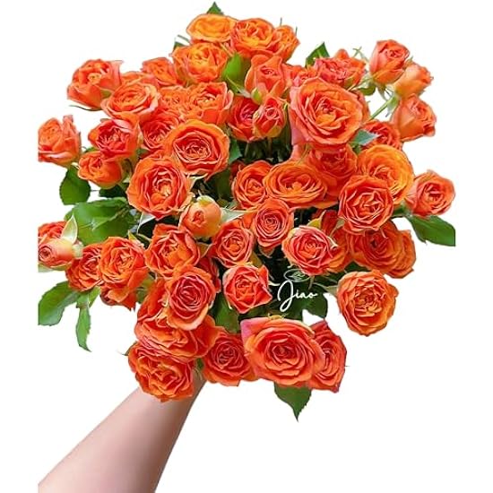 18 Orange Mini Rose Flores frescas cortadas Bouquet Gif