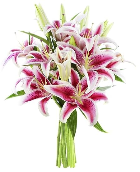 KaBloom PRIME NEXT DAY DELIVERY - Lots of Lily Love Bouquet .Gift for Birthday, Sympathy, Anniversary, Get Well, Thank You, Valentine, Mother’s Day Fresh Flowers 908398478
