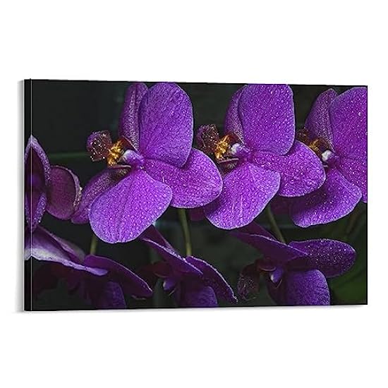 Wallpapers Orchid, Tropical Flowers, Morado Orchid, Mor