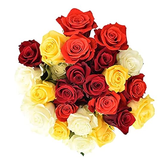 Verdechoice Flowers Fresh Bouquet | 24 Mixed Roses | Fl