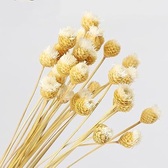 Mix and Match Dried Flower Bouquet Materials: Living Room Home Decoration, Wheat Ear Roses, Starry Dried Flowers 708446053