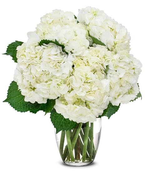 From You Flowers - Blanco Hydrangea Bouquet with Glass 