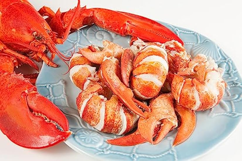Fresh Maine Lobster Meat, Tail, Knuckle, & Claw | 1 LB 