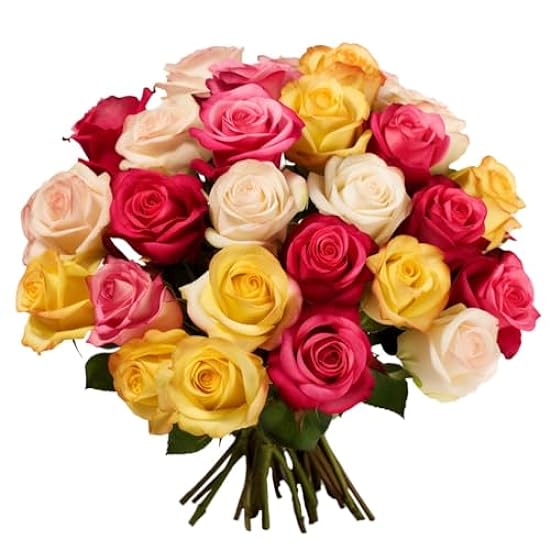Fresh Flowers- 50 Roses - 2 Beautiful Assorted Colors -