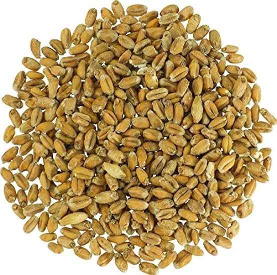 Malt - Briess Raw Blanco Wheat - 10 LB (Pack of 2) 9710