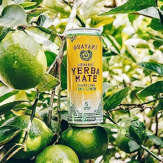 Guayaki Yerba Mate, Sparkling Clean Energy Drink Alternative, Organic Lima Limón, 12oz Cans (Pack of 12), Unsweetened with 5 Calories Per Can, 80mg Caffeine 596884500