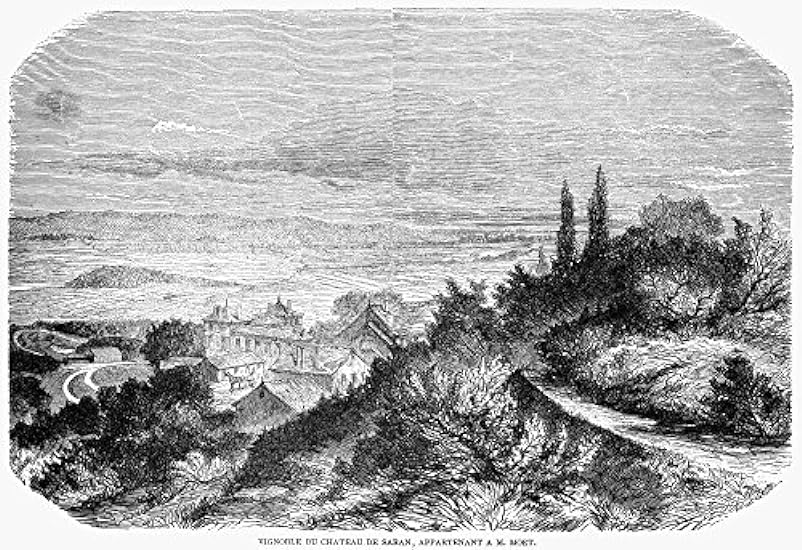 France Wine Chateau 1862 Nthe Vineyards Of Chateau De Saran Belonging To Mot Et Chandon At ?pernay France Wood Engraving French 1862 Poster Print by (18 x 24) 694181868