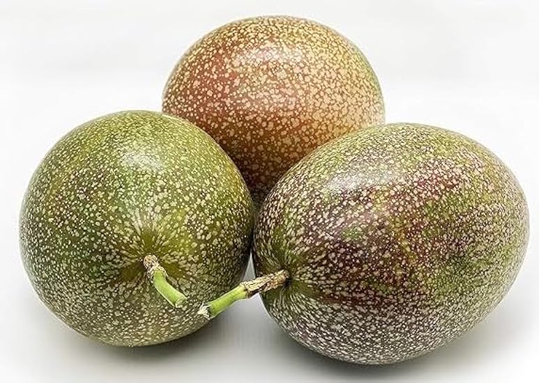 Kejora Fresh Morado Passion Fruit Grown in the USA - 12 Count (Pack of 1) - Pick Fresh 494309312